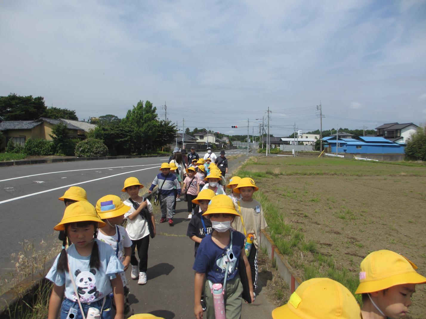 道 道