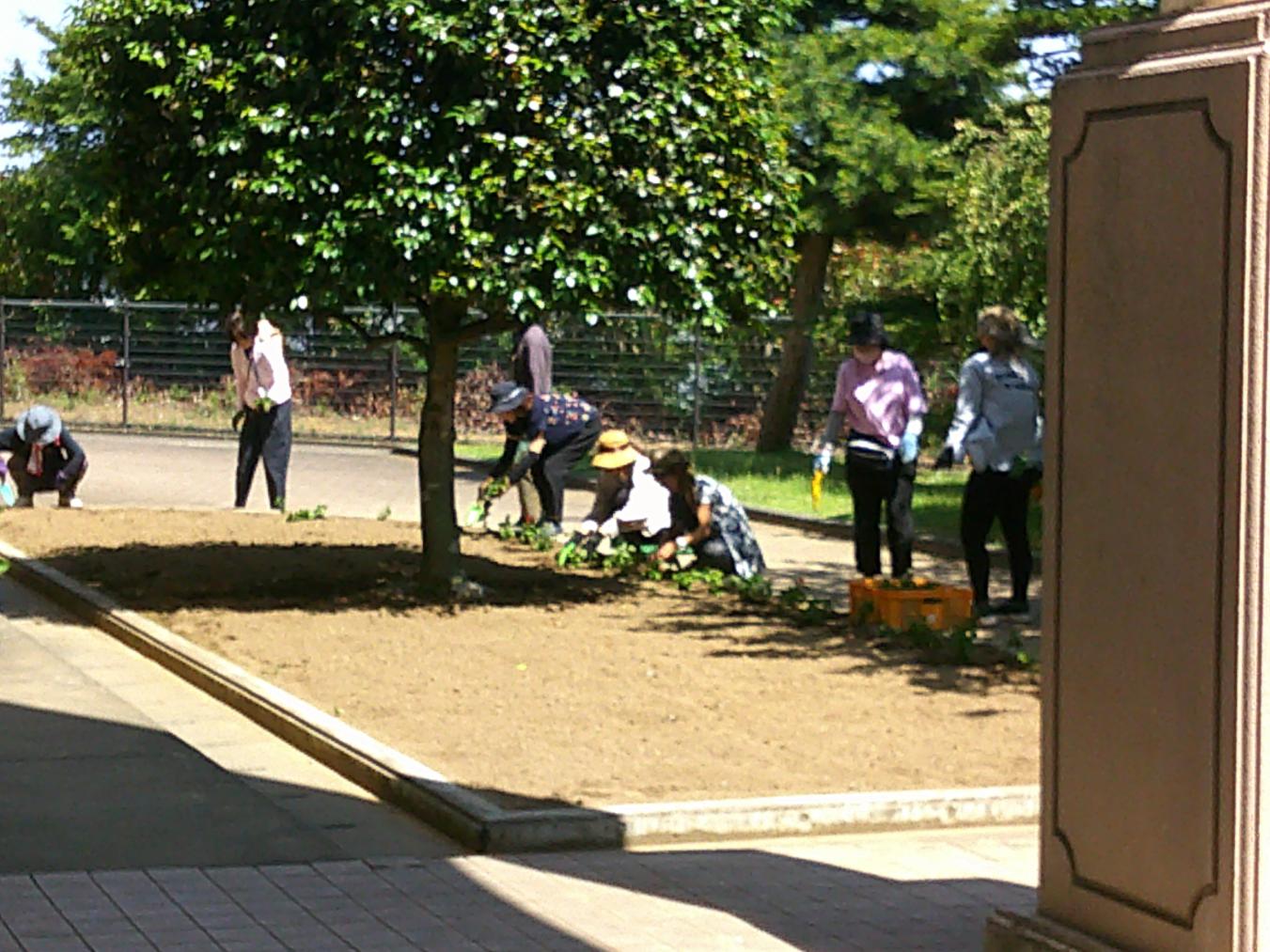DSCF0349 DSCF0349