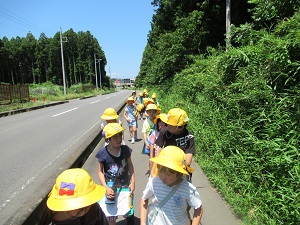 IMG_5052 IMG_5052