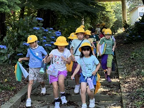 IMG_8643 IMG_8643