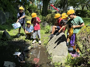 IMG_8664 IMG_8664