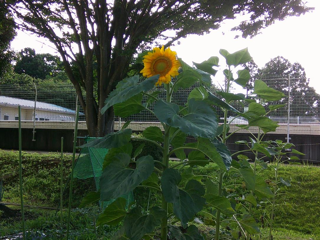 DSCF0004