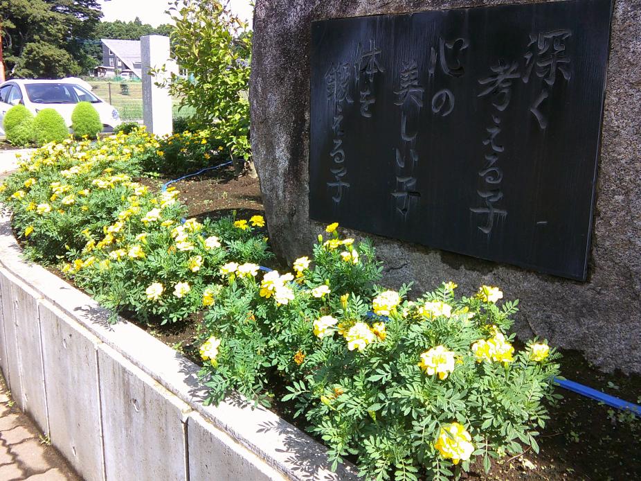 DSCF0147