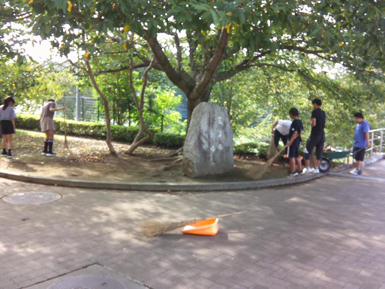 DSCF0290 DSCF0290