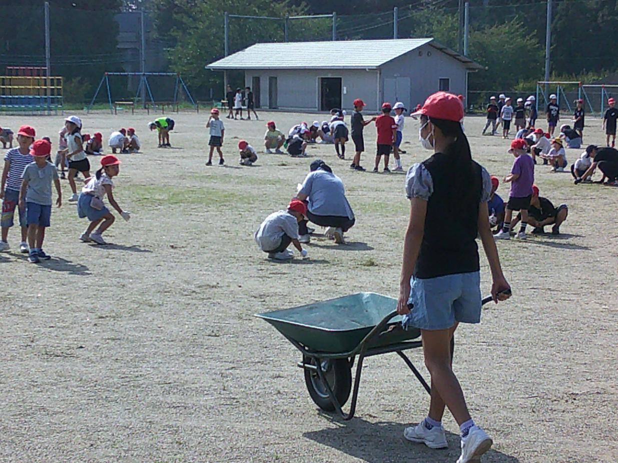 DSCF0295 DSCF0295