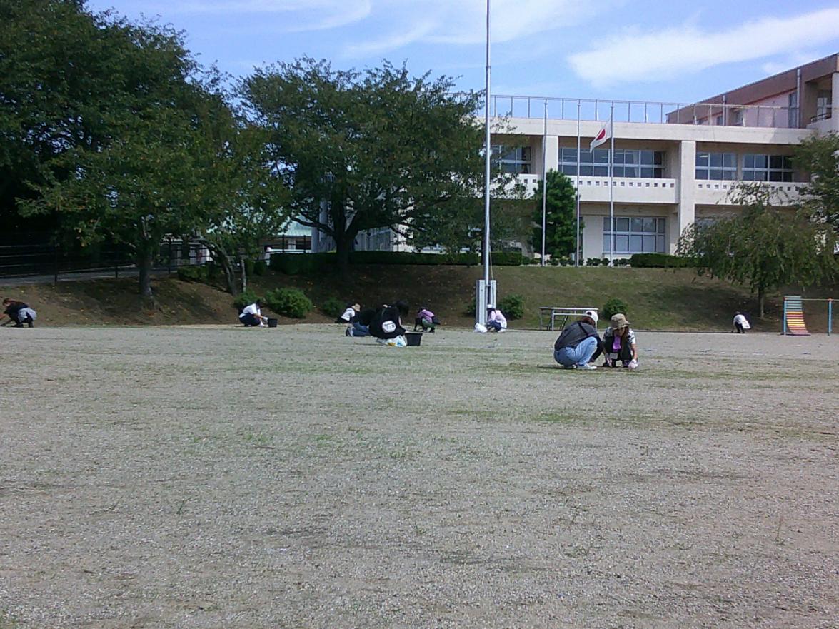 DSCF0313 DSCF0313