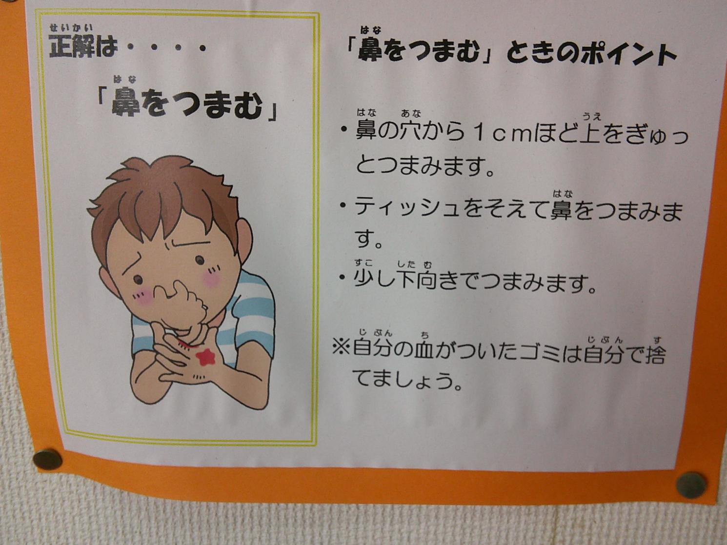 DSCF0343 DSCF0343
