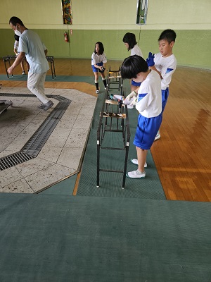 杉板4 杉板4