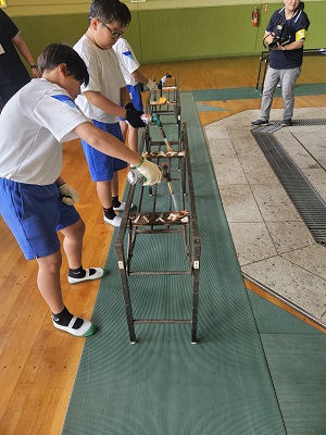 杉板5 杉板5