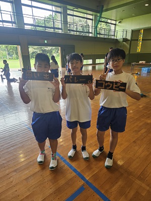 杉板11 杉板11