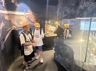 image_50462465 image_50462465
