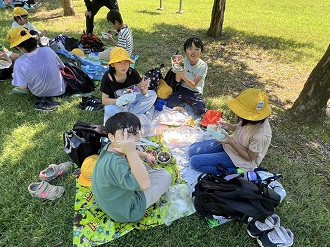 image_50784513 image_50784513