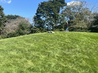image_50755329 image_50755329