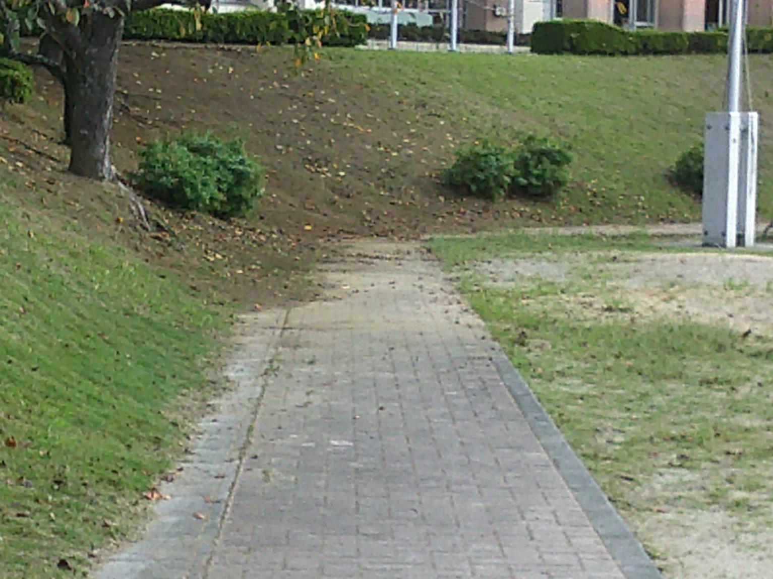 DSCF0561 DSCF0561