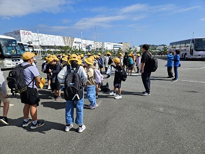 水族館3 水族館3
