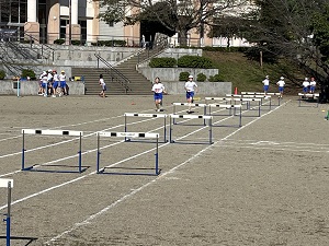IMG_1660 IMG_1660