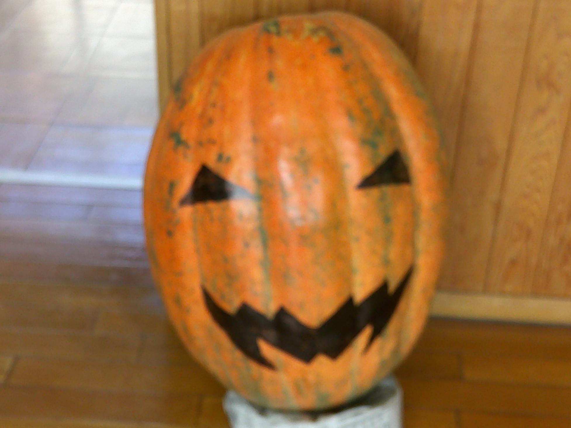 DSCF0786 DSCF0786