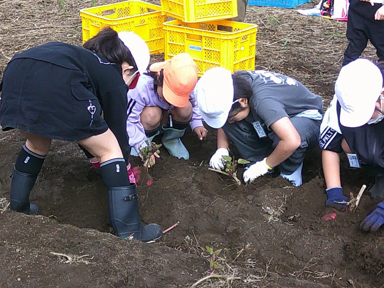 DSCF0840 DSCF0840