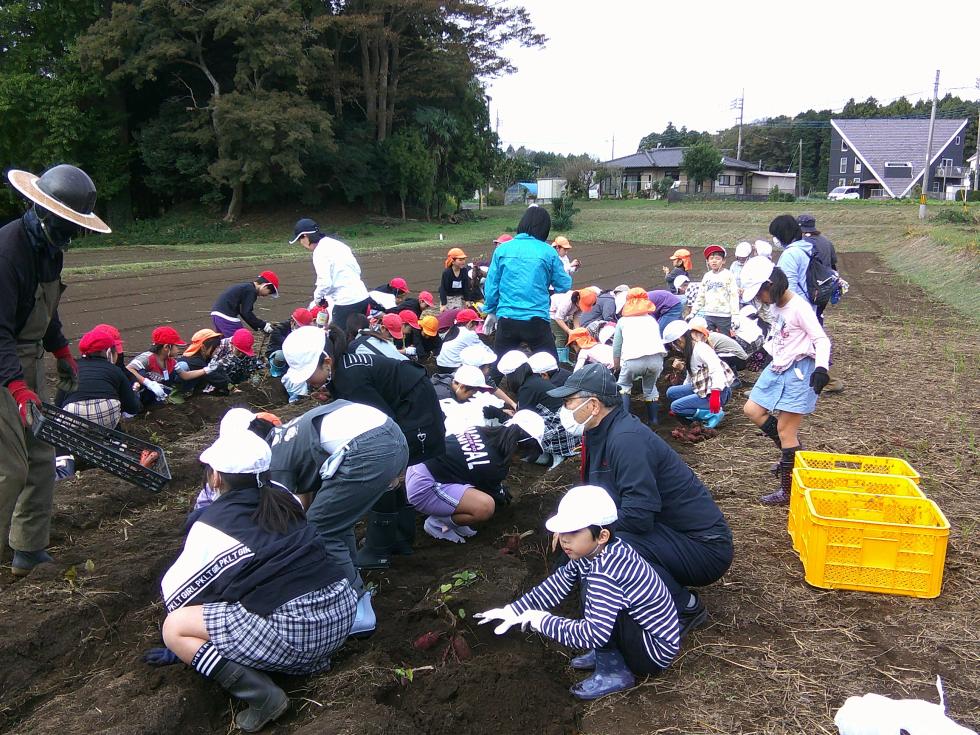 DSCF0853 DSCF0853