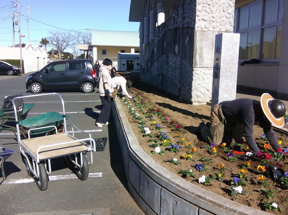DSCF0208 DSCF0208