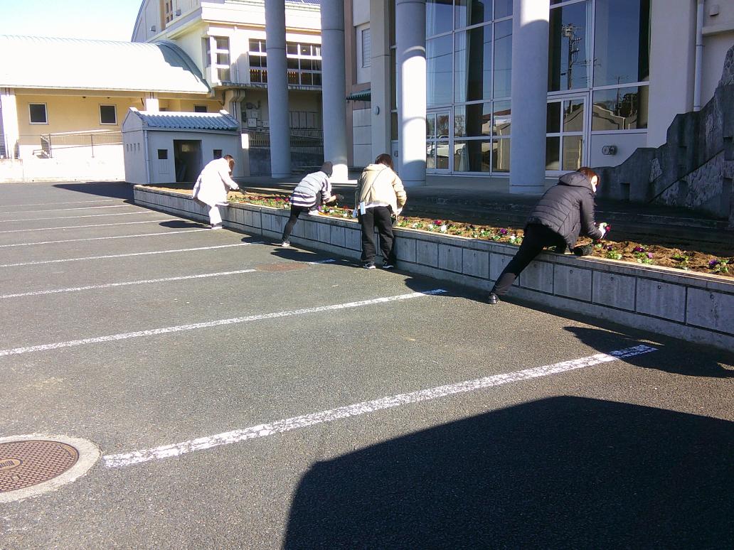 DSCF0209 DSCF0209