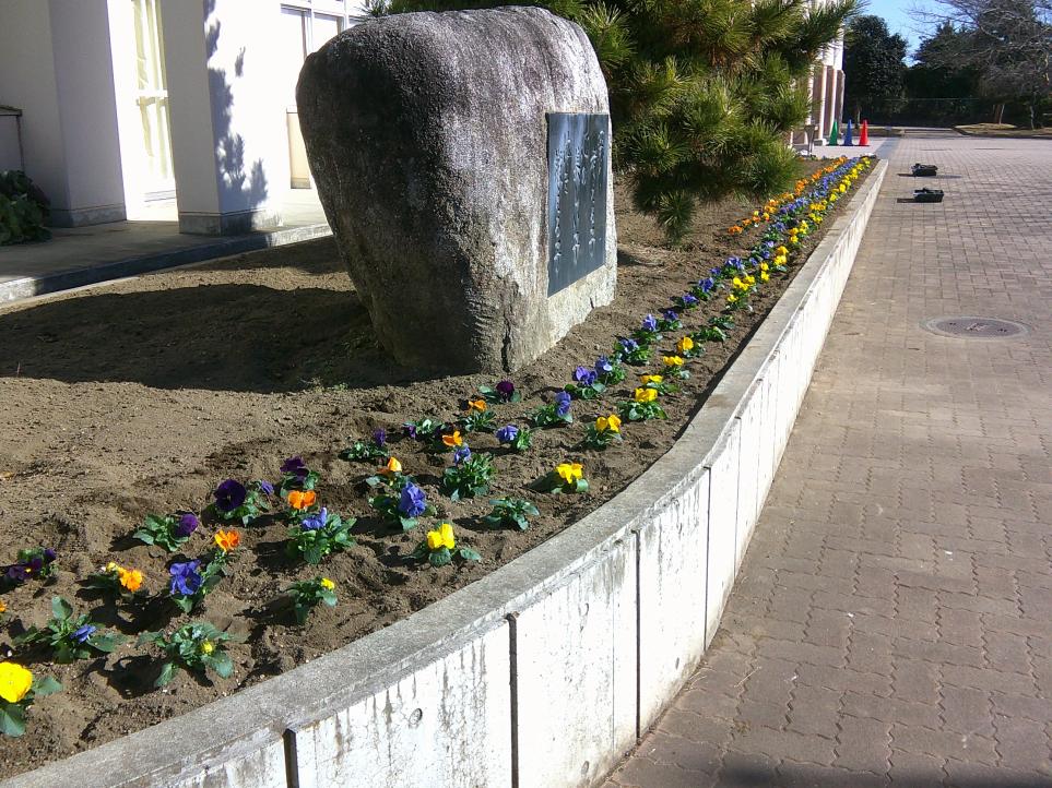 DSCF0210 DSCF0210