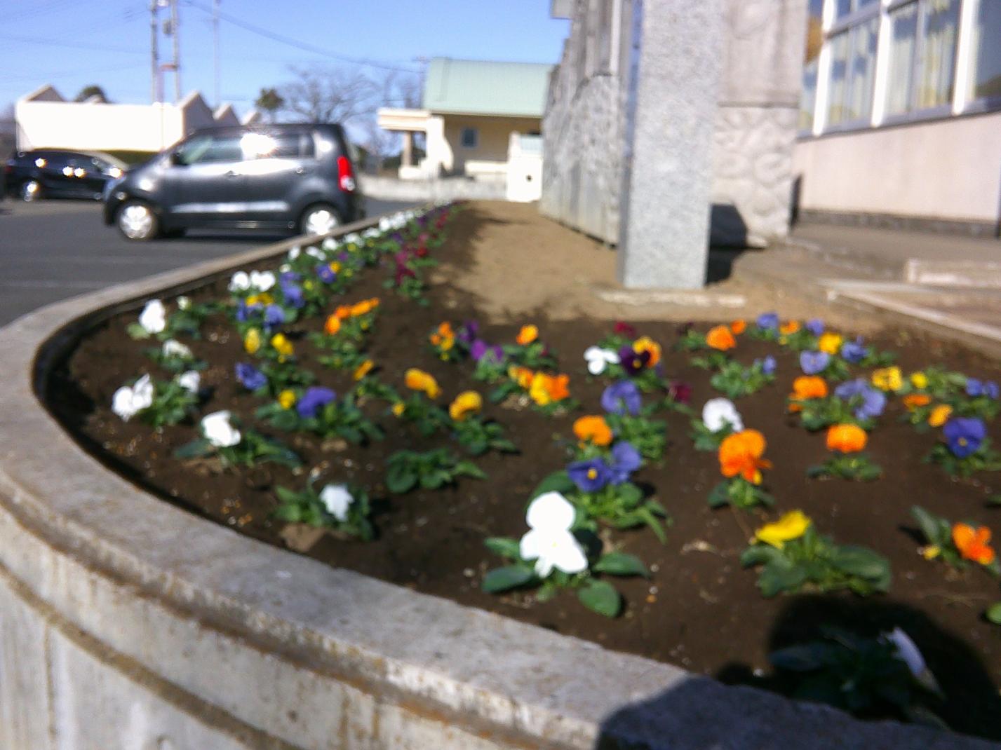 DSCF0212 DSCF0212