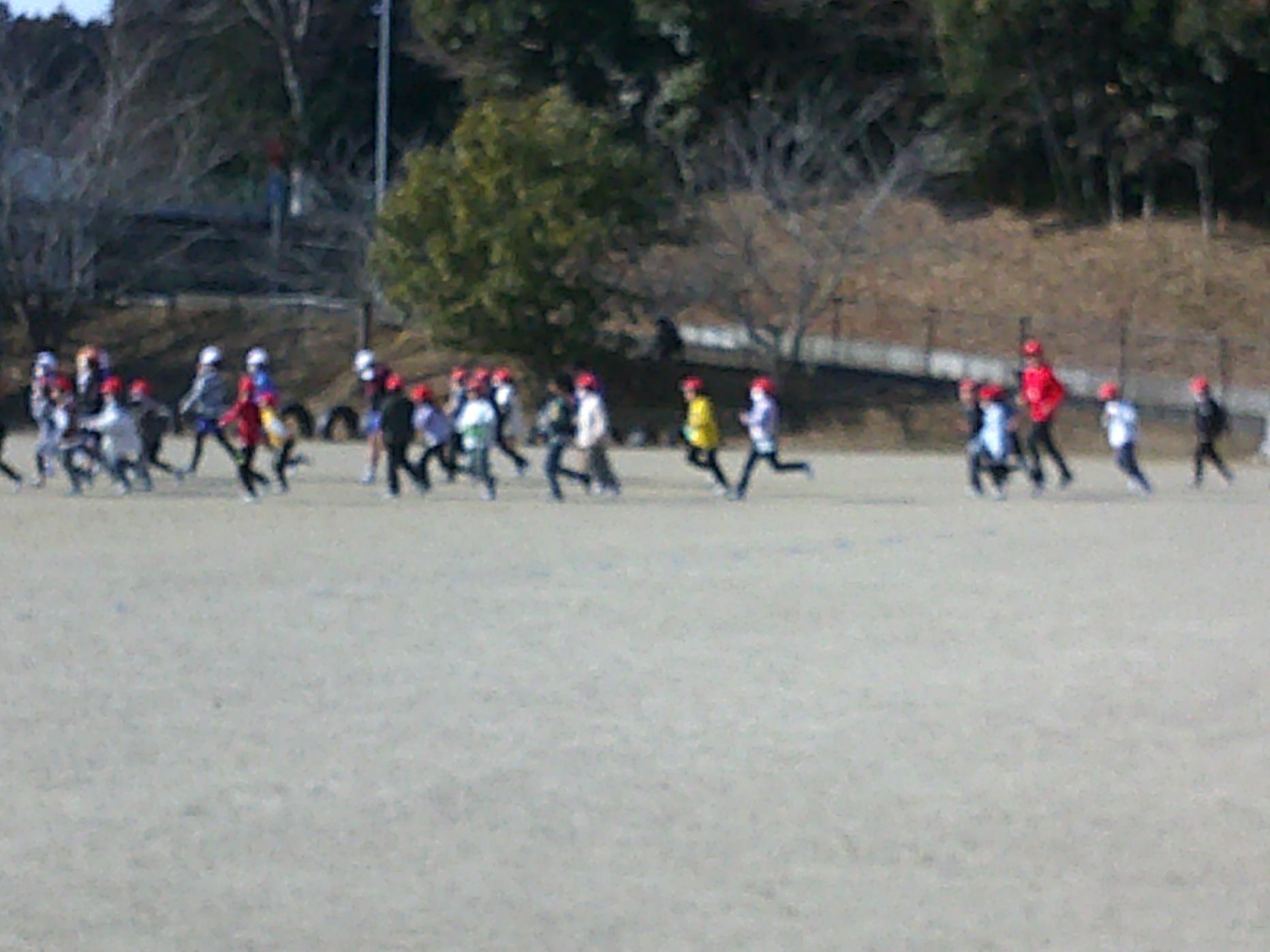 DSCF0383 DSCF0383
