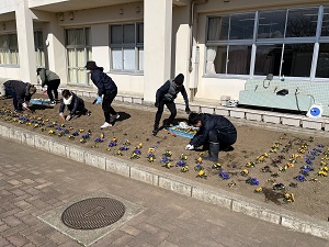 IMG_1876 IMG_1876