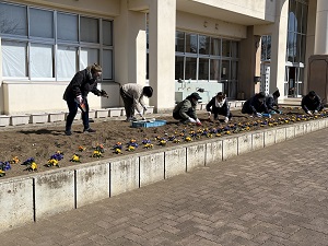 IMG_1878 IMG_1878