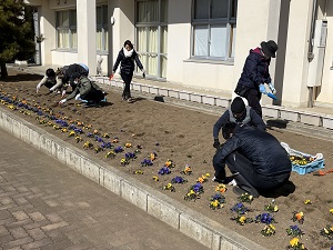 IMG_1879 IMG_1879