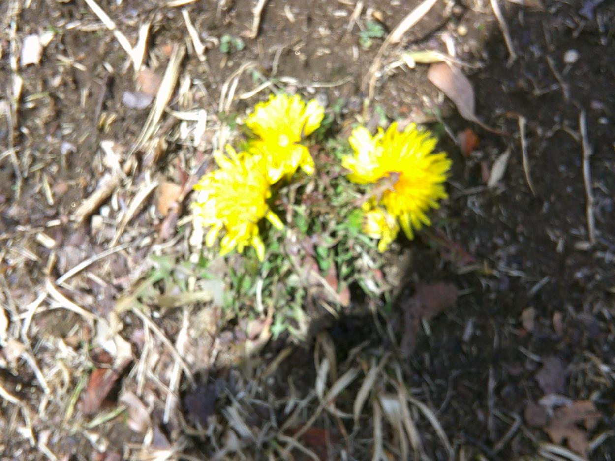 DSCF0626