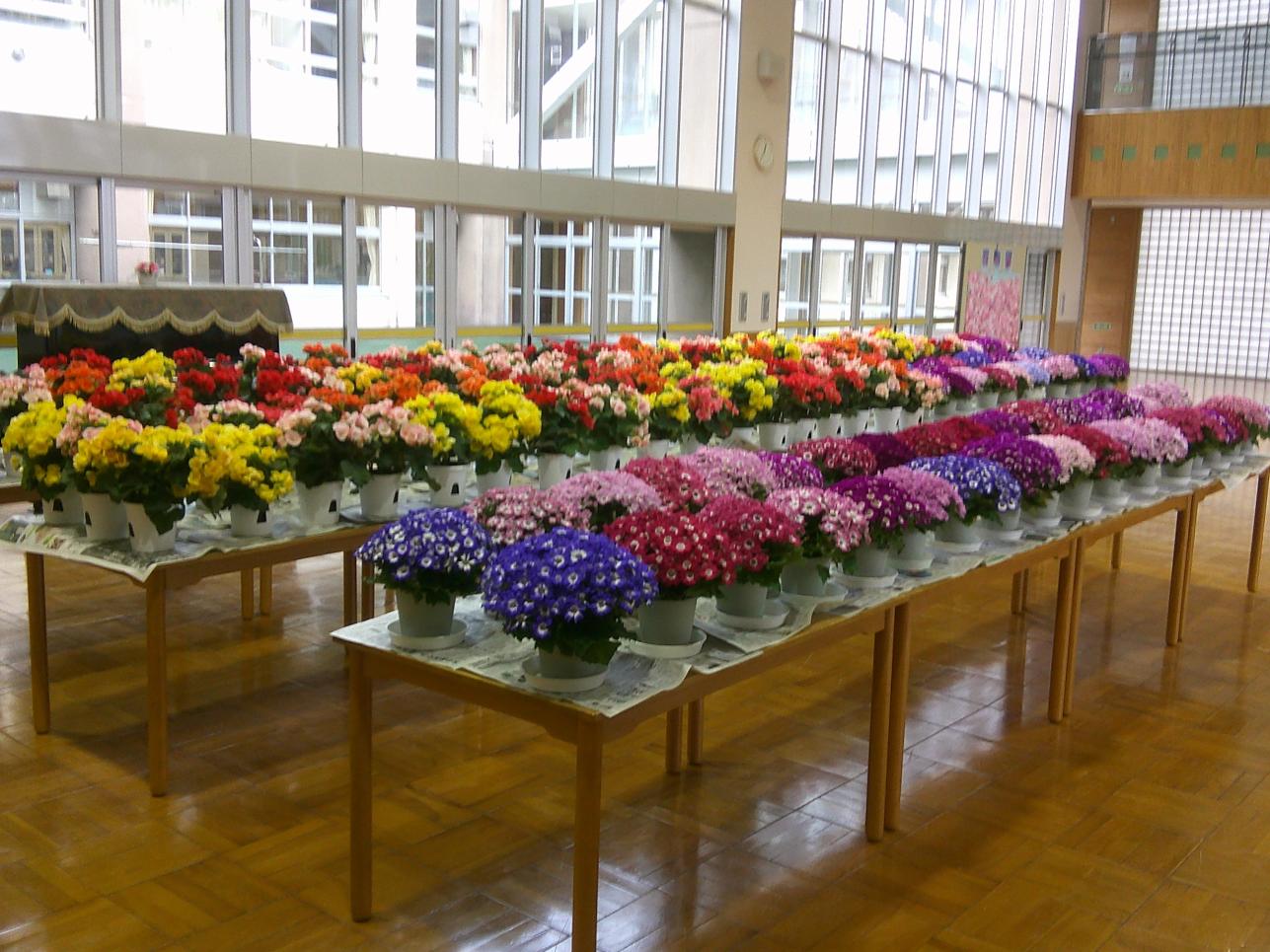 DSCF0666