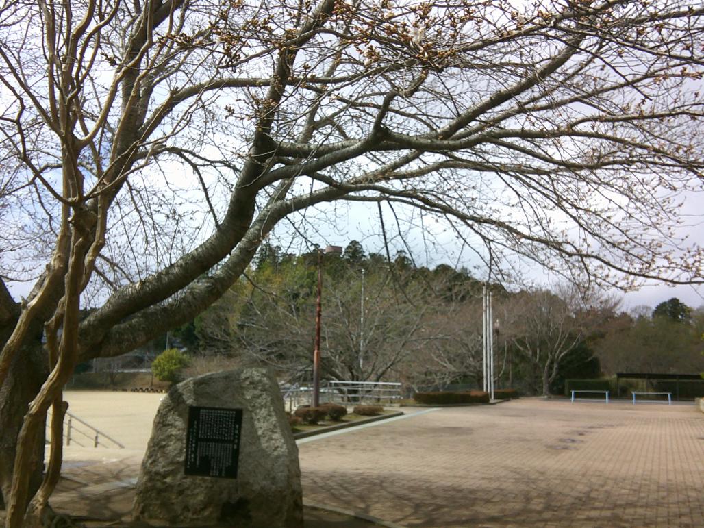 DSCF0742
