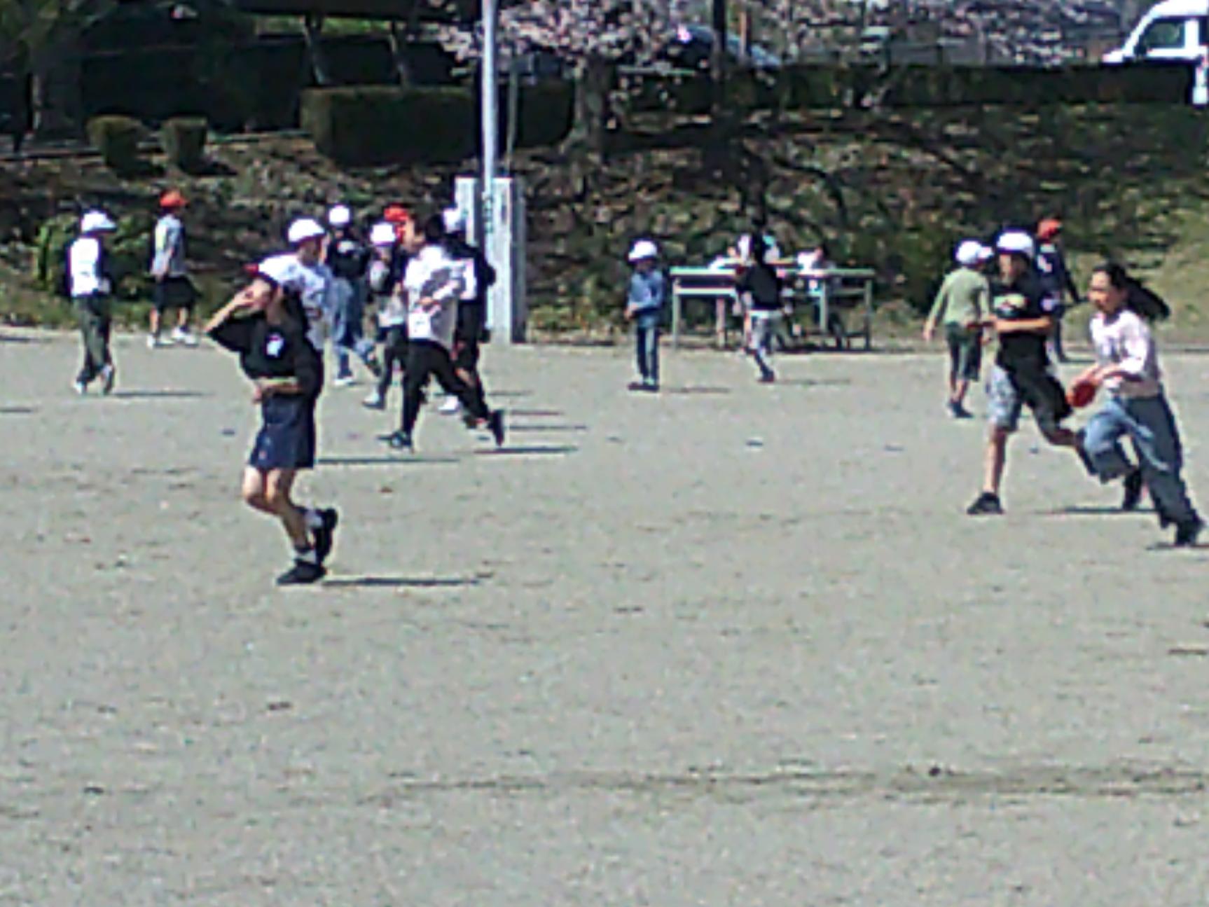 DSCF0795 DSCF0795