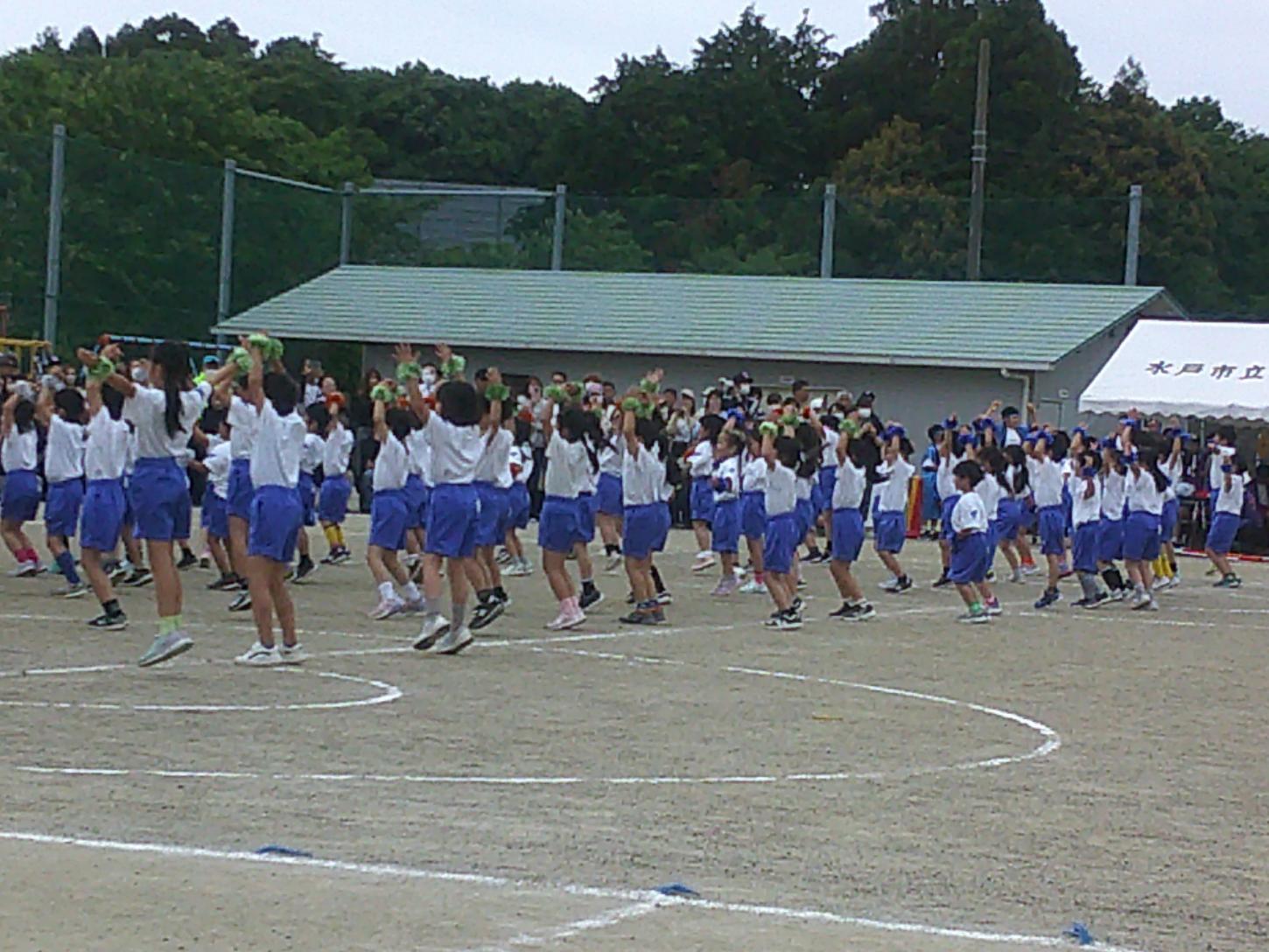 DSCF0012 DSCF0012