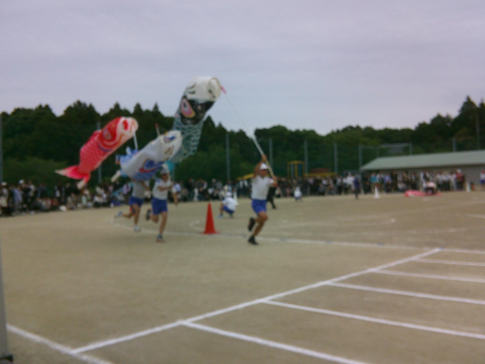 DSCF0043 DSCF0043