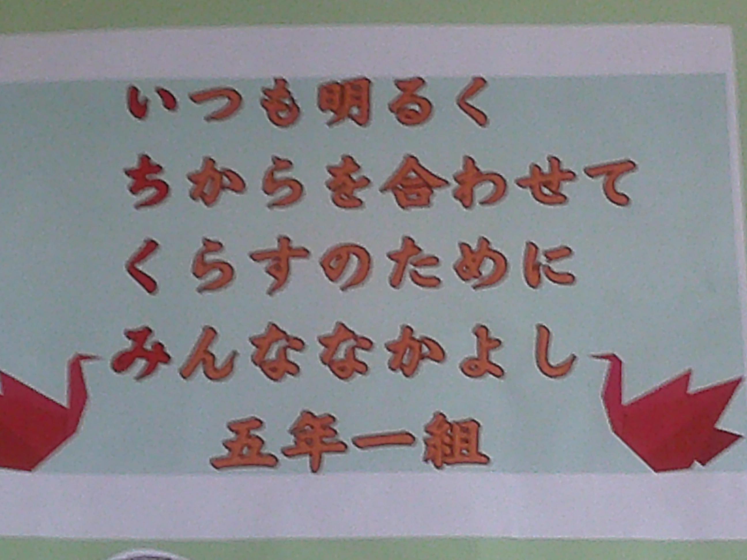 DSCF0222 DSCF0222
