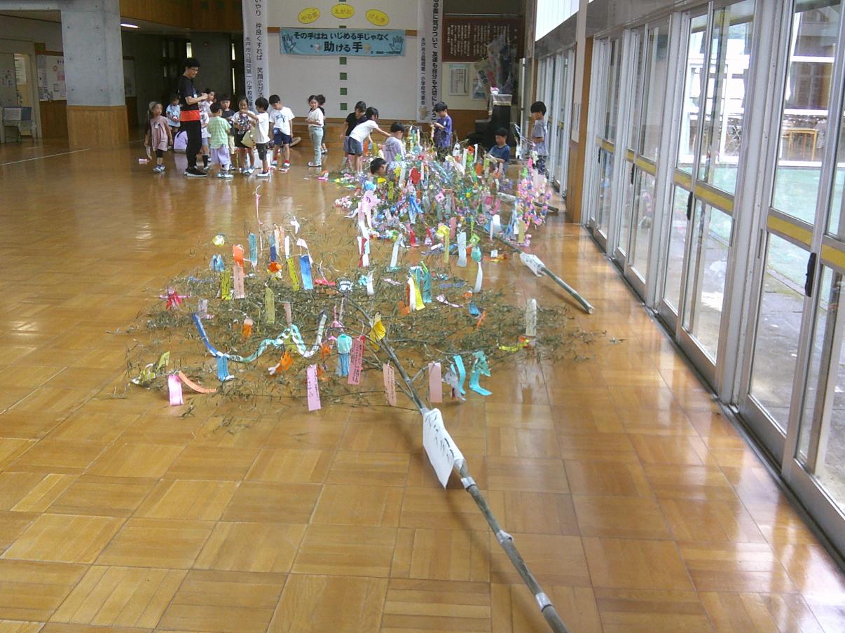 DSCF0242 DSCF0242