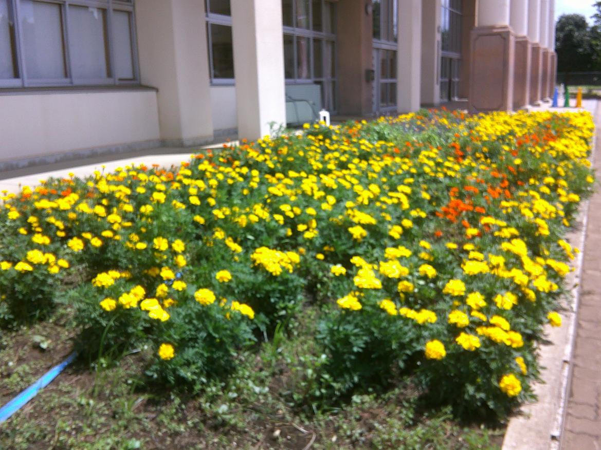DSCF0402 DSCF0402