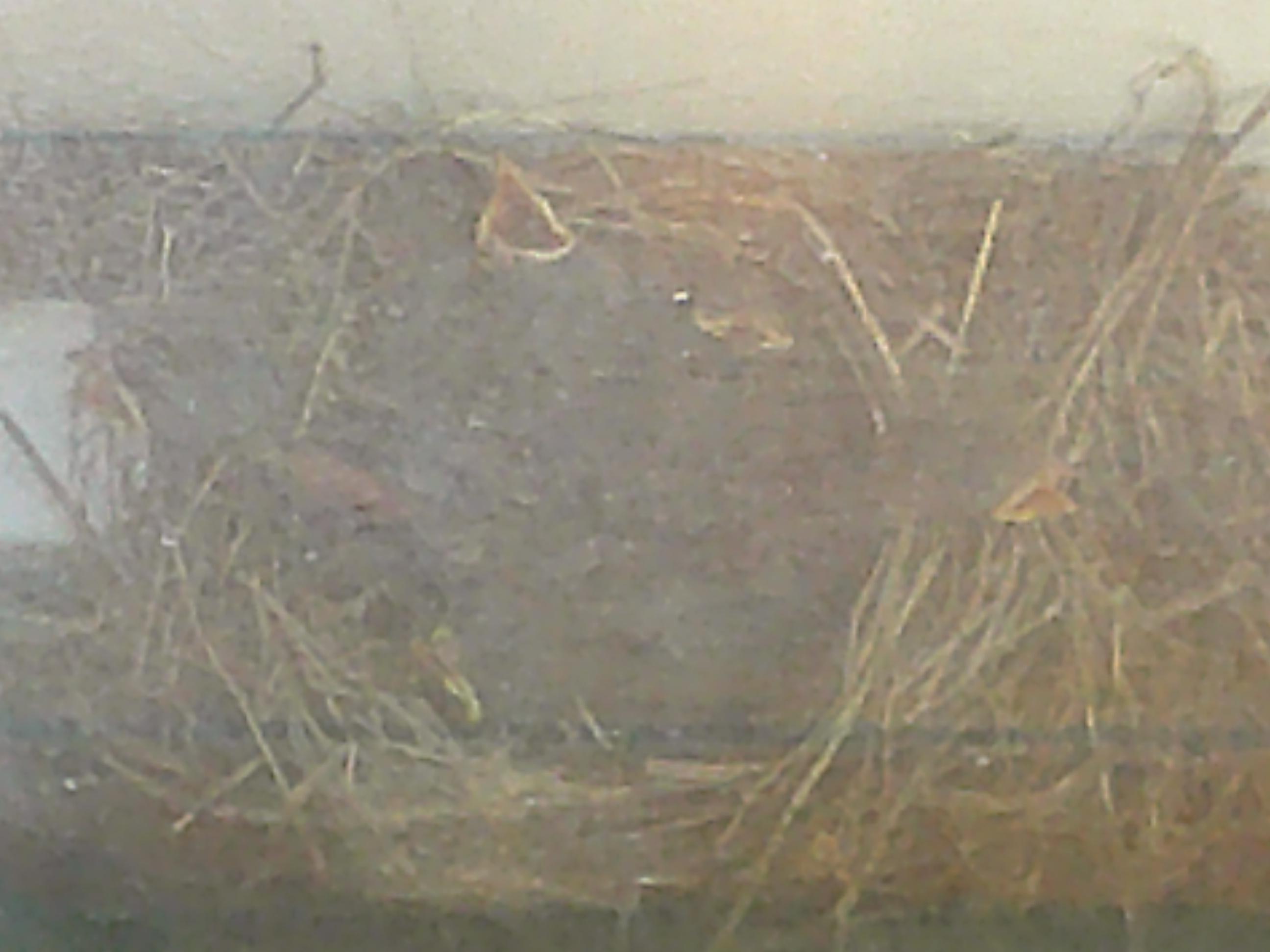 DSCF0422 DSCF0422