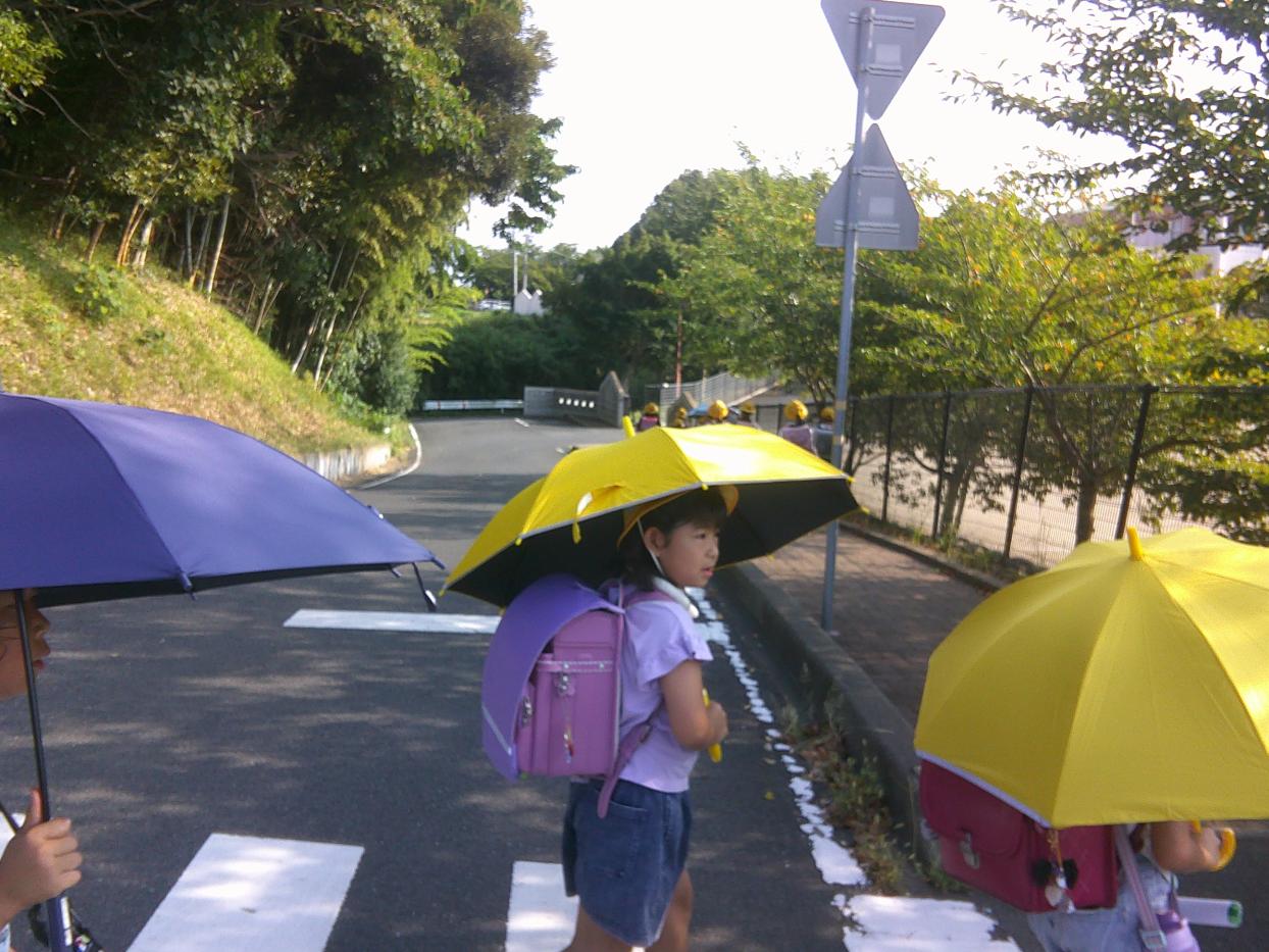 DSCF0452 DSCF0452