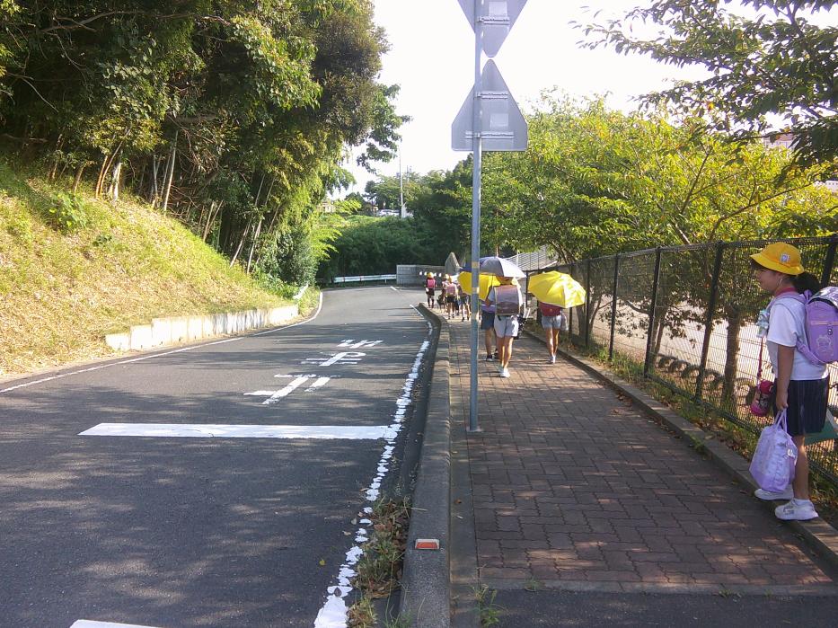 DSCF0453 DSCF0453