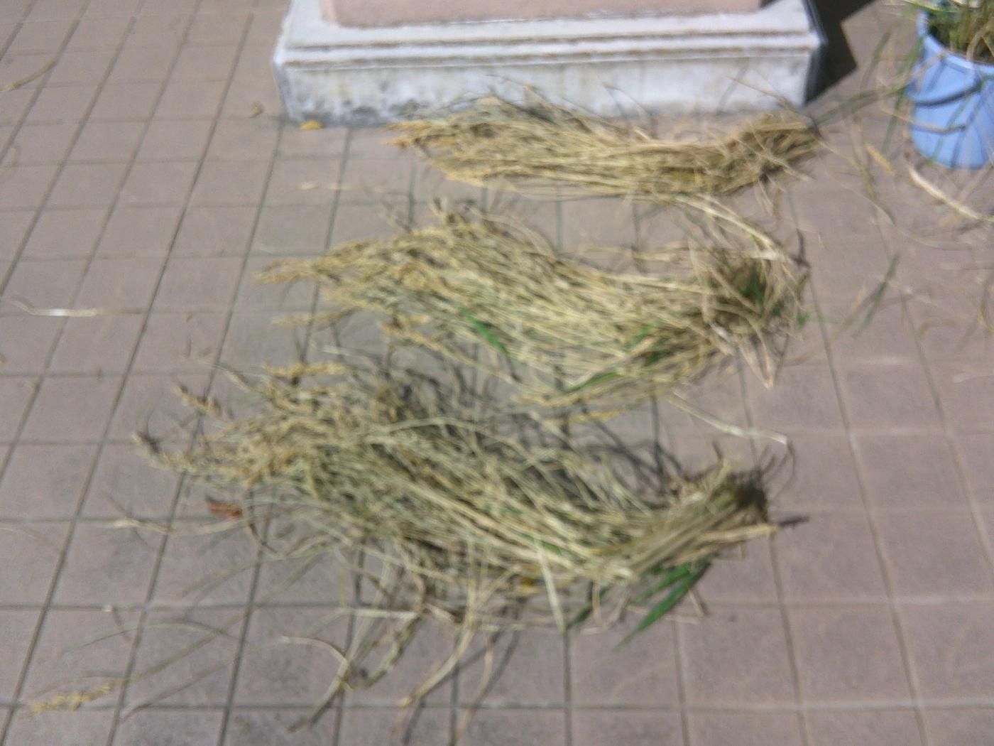 DSCF0635 DSCF0635