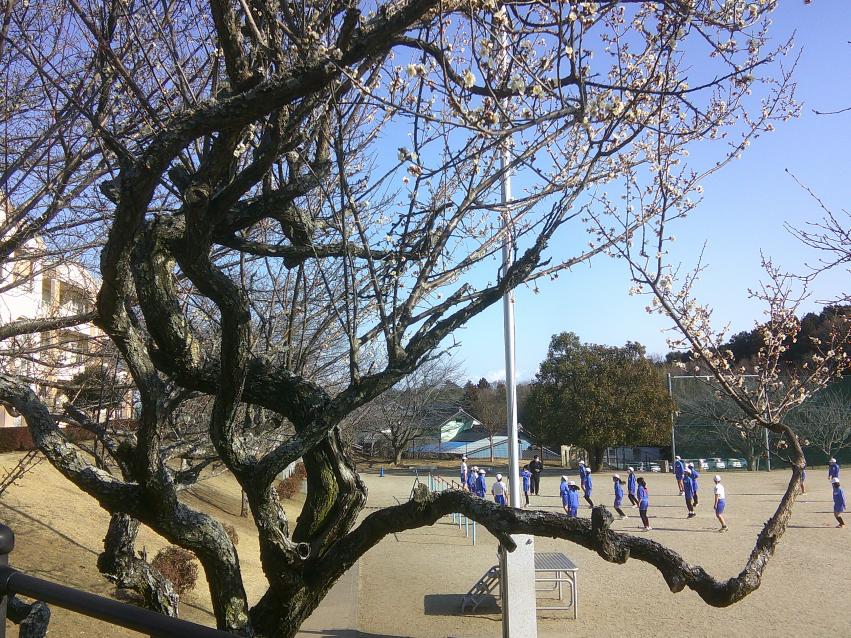 DSCF0179 DSCF0179