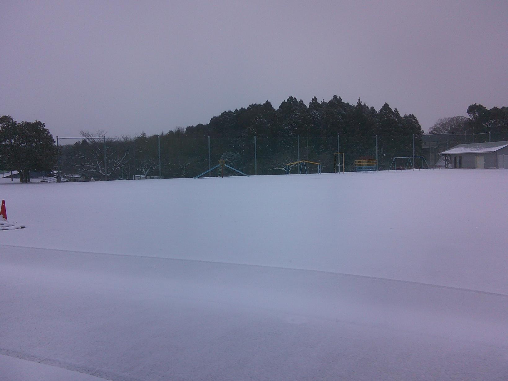 DSCF0253 DSCF0253
