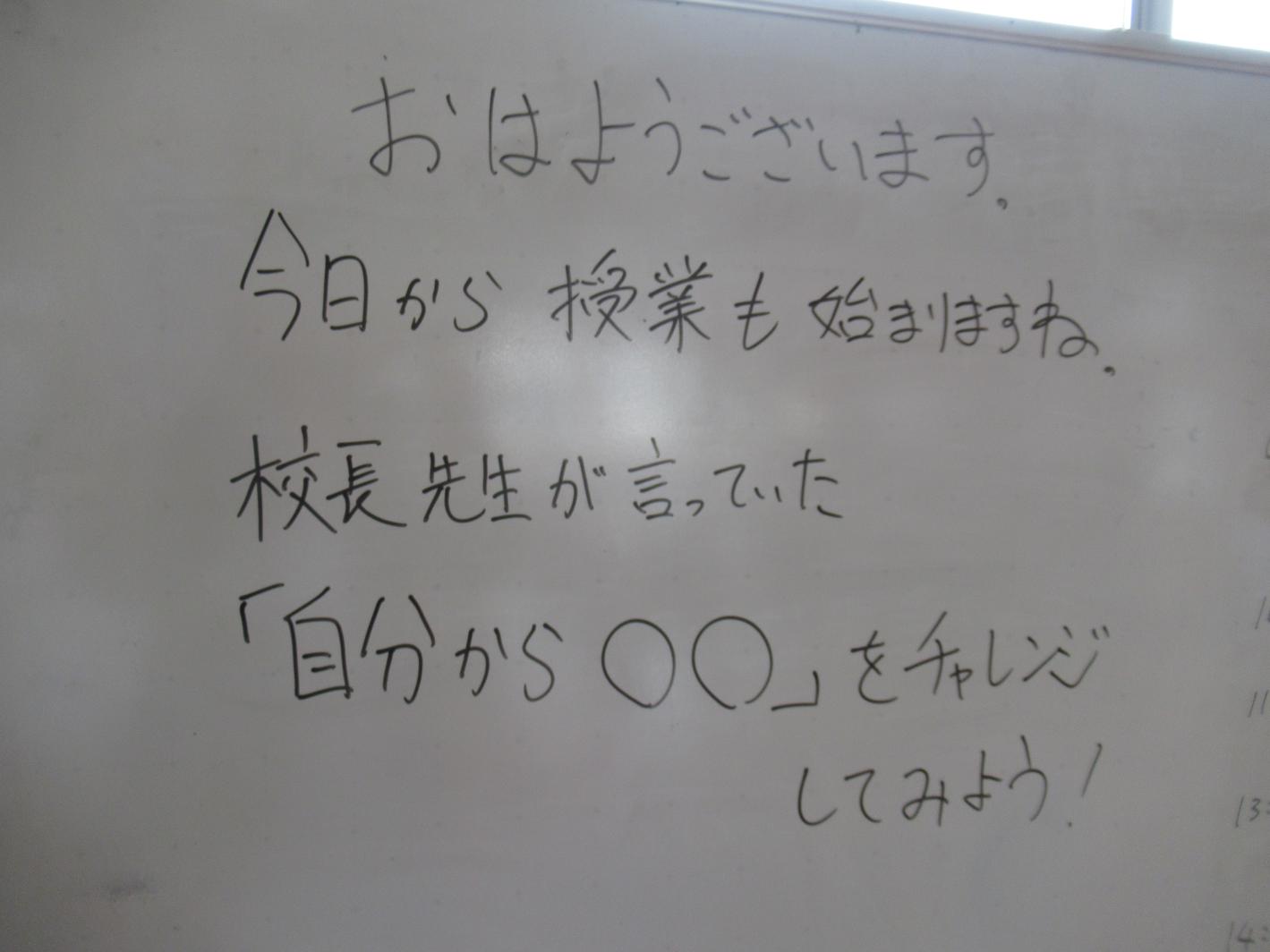 IMG_3533 IMG_3533