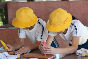 宿泊学習 宿泊学習