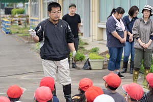 田植え