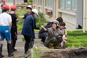 田植え